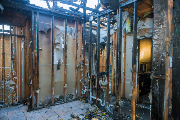 Professional Smoke Damage Removal technician working in Hamlin, TX